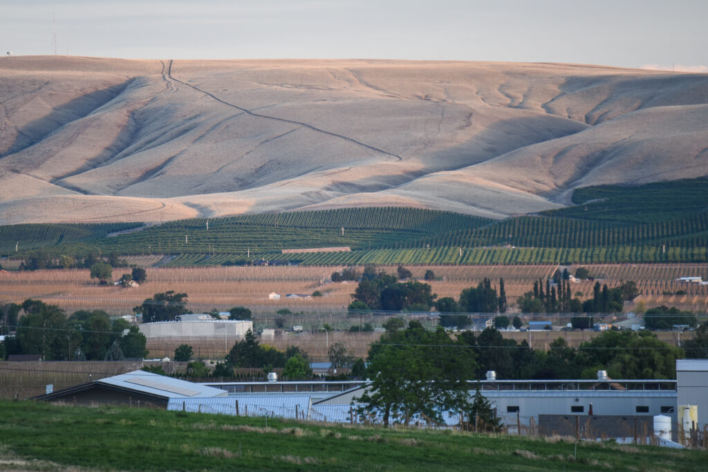A view of East Valley showing various houses and hop farms. 